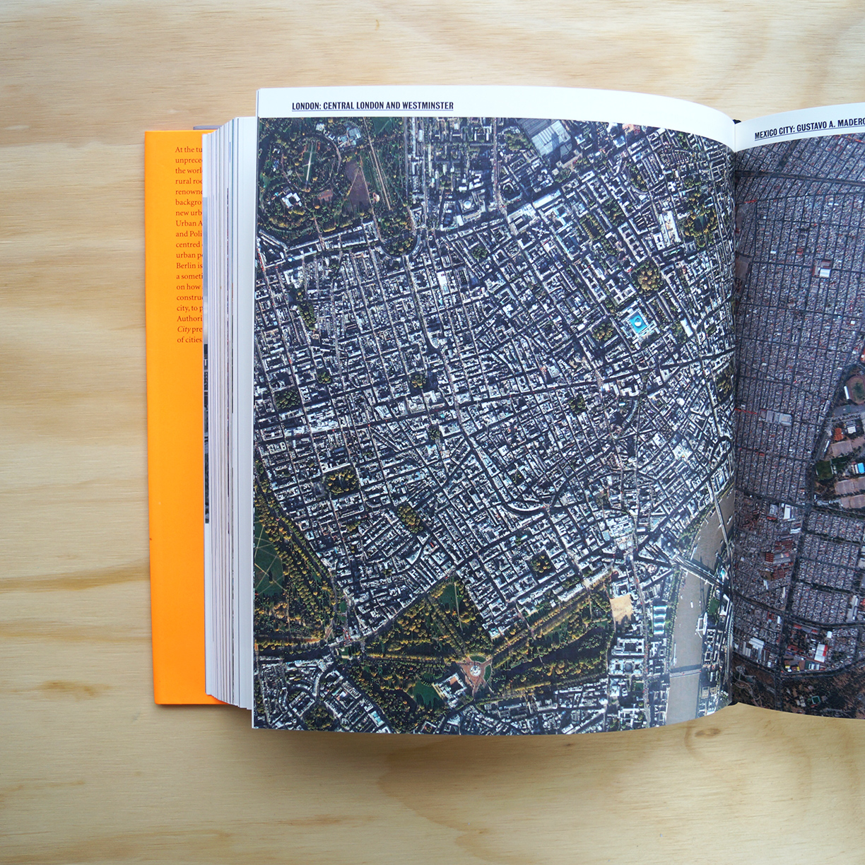 libro-endless-city