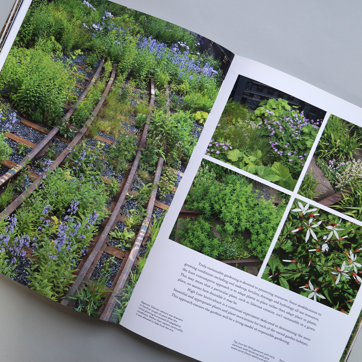 libro-gardens-high-line